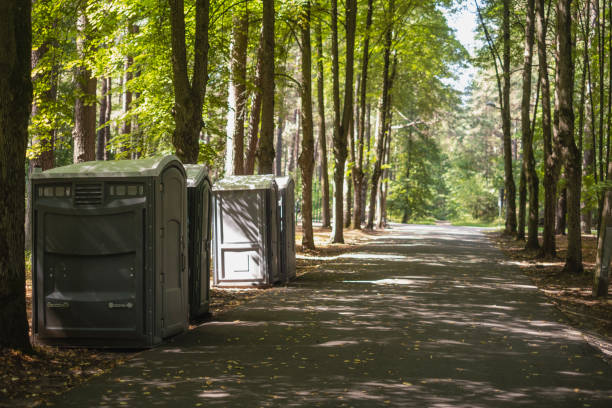 Portable Toilet Options We Offer in Dash Point, WA